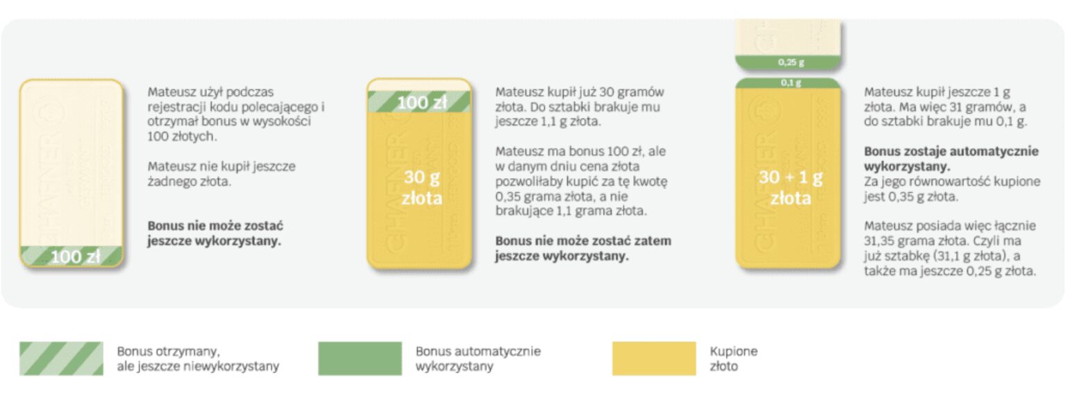 Przykład zakupów w Goldsaver